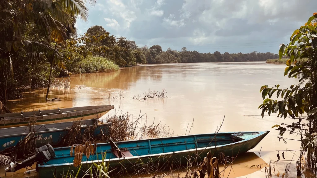 borneo-sarawak-travel-menu barcas en un rio de Sarawak en Borneo