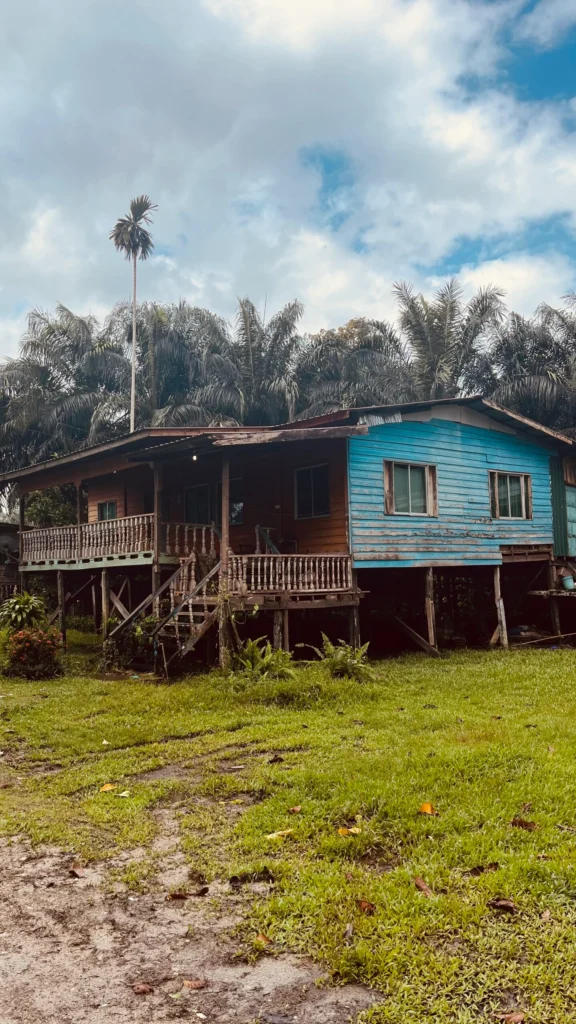 casa elevada en al selva de la region de Sabah en Borneo
