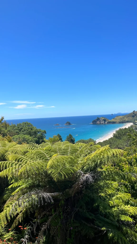 vista panoramica de una playa de la isla norte de Nueva Zelanda