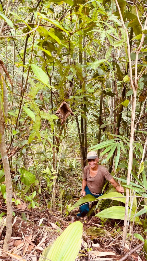 persona indigena en la selva de borneo