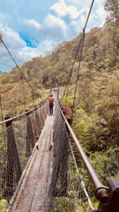 puente colgante sobre un rio en un parque nacional de la isla sur de Nueva Zelanda