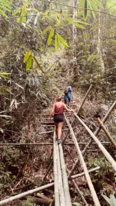 persona cruzando un puente de bambu en una selva de Sarawak en Borneo
