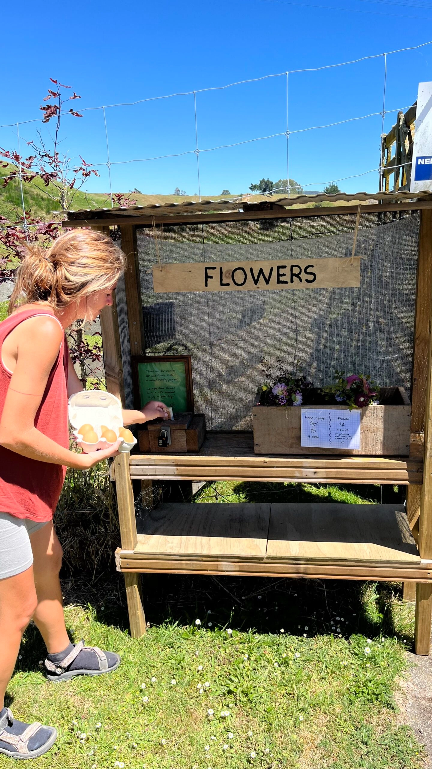 puesto de compra de huevos e intercambio de flores en la carretera