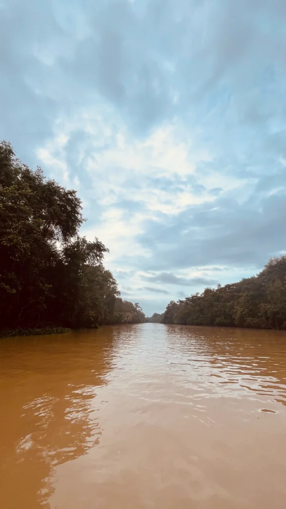imagen panoramica del rio Kinabatangan en la region de Sabah en Borneo