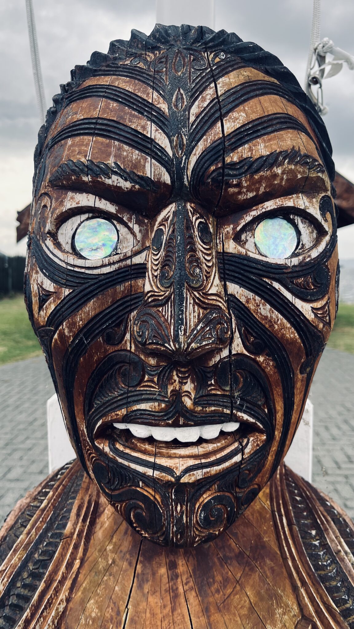 IMG_2682 3